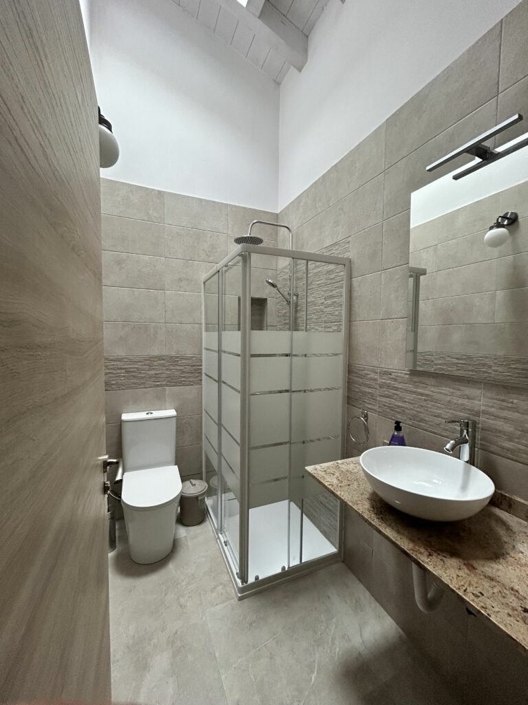 Baño decorado con azulejos marrones, con tragaluz y elevados techos